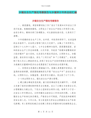 乡镇安全生产情况考察报告与乡镇审计年终总结汇编