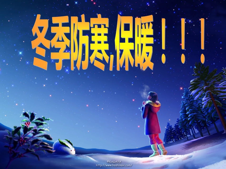 冬季防寒防冻及道路交通安全教育主题班会_第2页