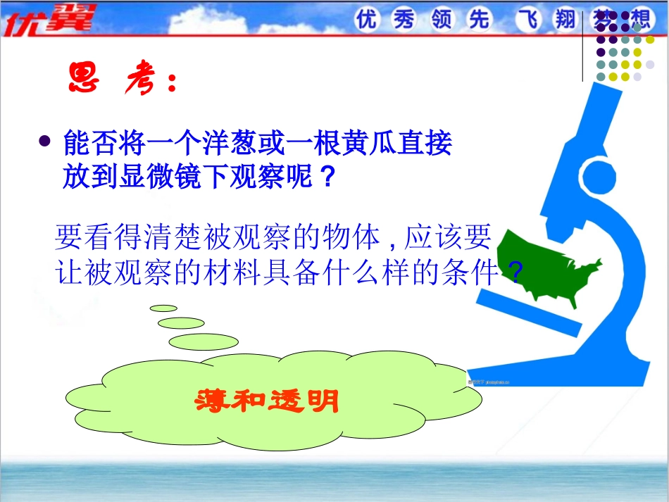 第二节__植物细胞__课件_第2页