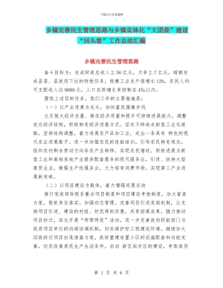 乡镇完善民生管理思路与乡镇实体化“大团委”建设“回头看”工作总结汇编