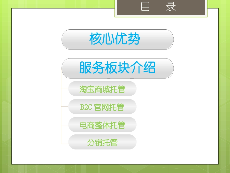 电商整体解决方案服务介绍_第2页