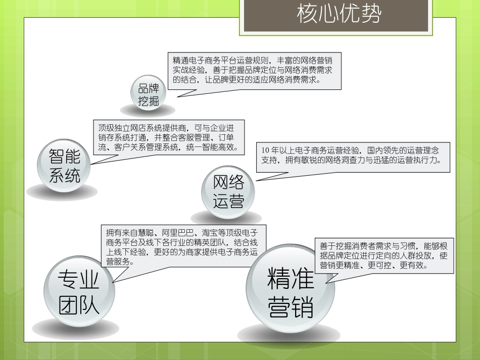 电商整体解决方案服务介绍_第3页