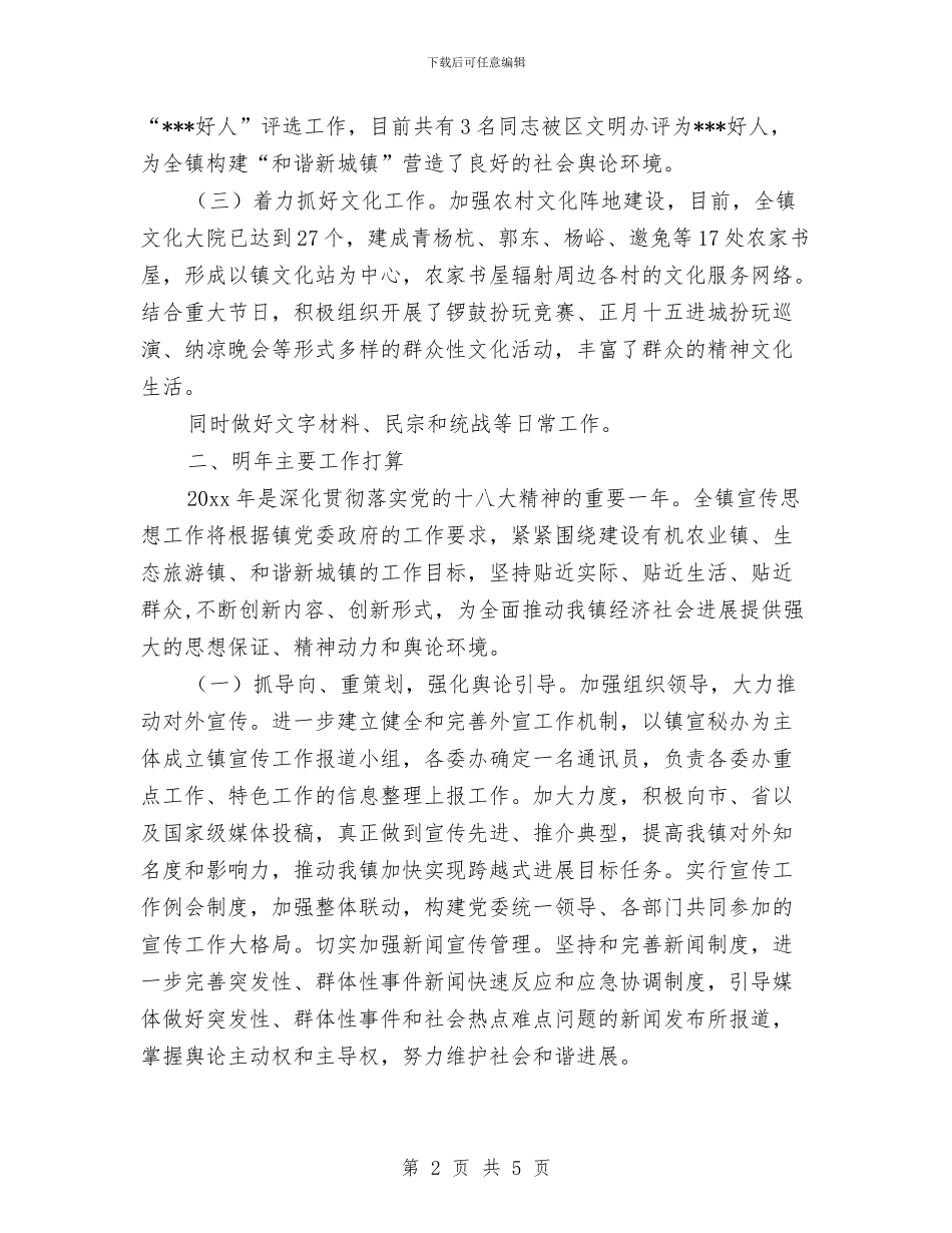 乡镇宣传个人年终工作总结与乡镇宣传委员个人工作汇报汇编_第2页