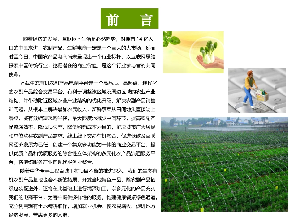 电商平台商业计划书_第2页