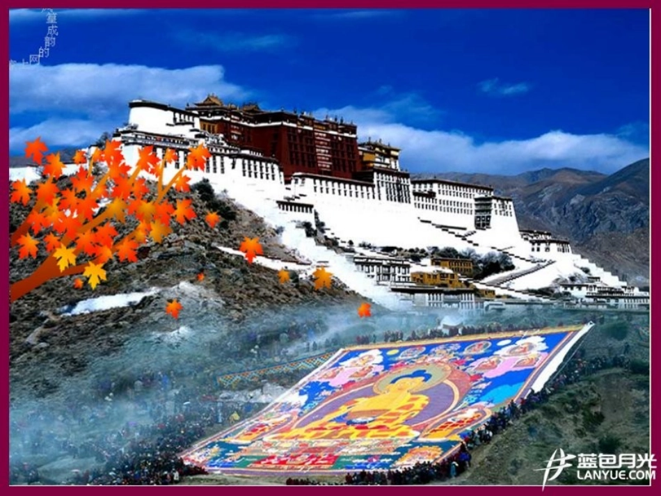 藏族饮食“四宝”_第3页