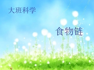 大班科学食物链