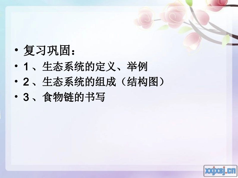 第二章 第三节生物与环境组成生态系统第二课时_第2页