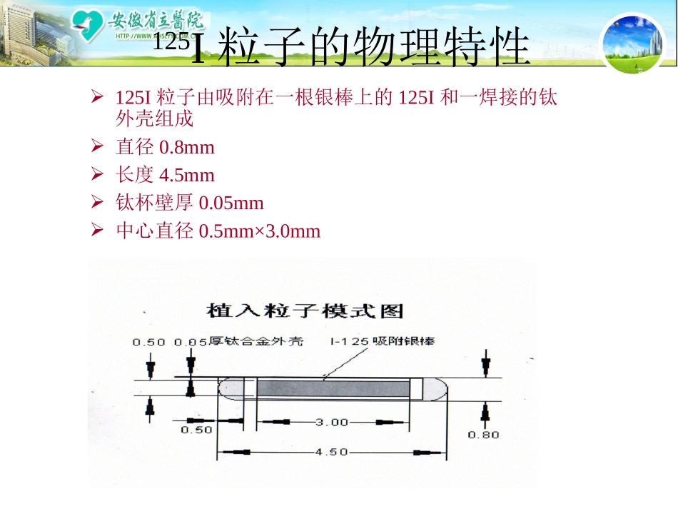 碘125粒子防护2 (2)_第3页