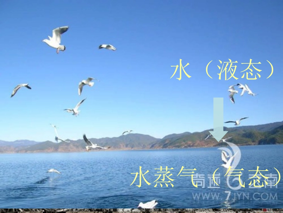 初中物理 汽化和液化_第3页