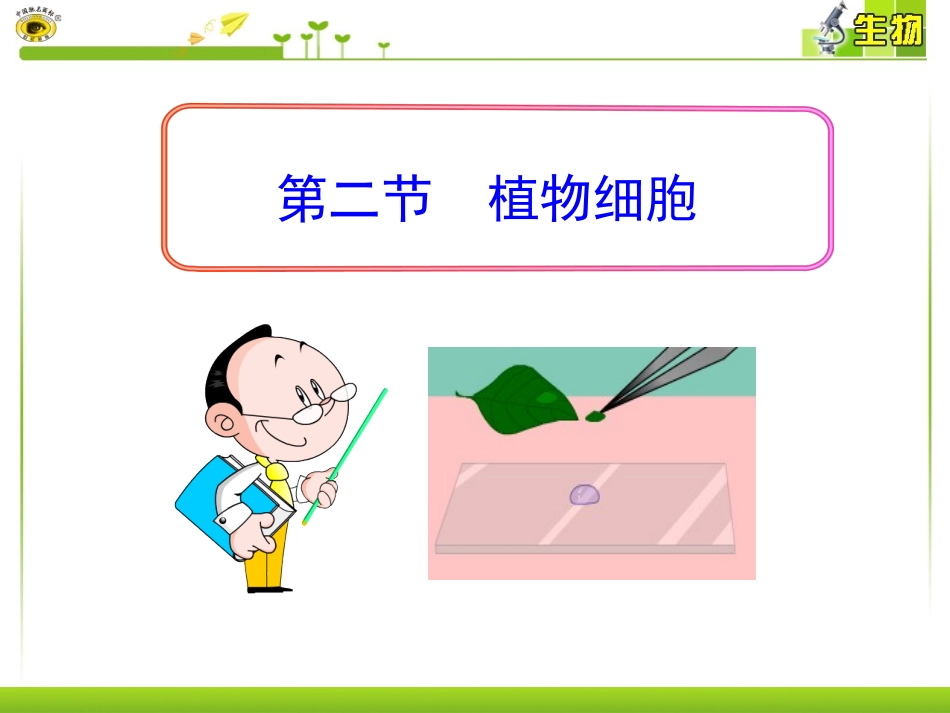 第二节-植物细胞_第2页