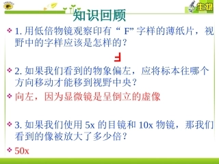 第二节-植物细胞