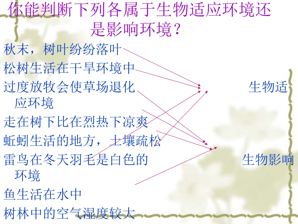 第二节生物与环境组成生态系统 PPT_第3页
