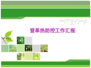 登革热防控工作汇报