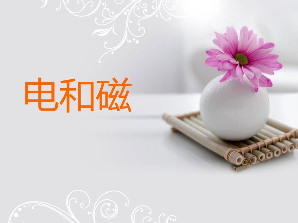 电和磁ppt_第2页