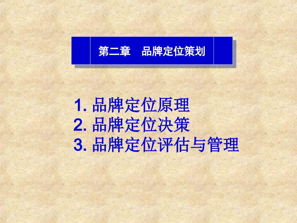 第二章 品牌定位策划_第2页