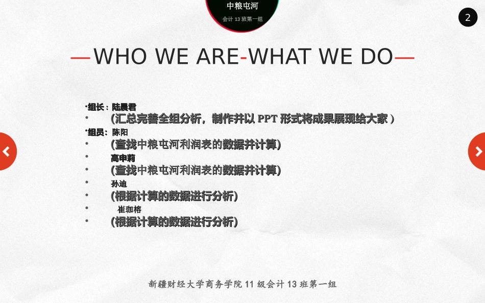 财务报表分析利润表_第2页