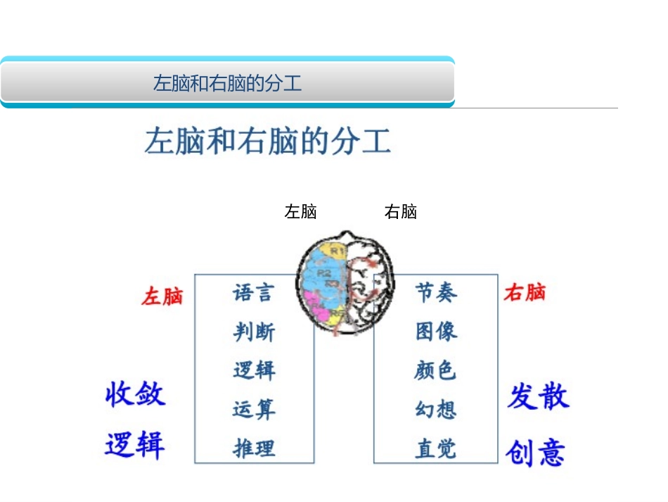 创意思维训练.ppt_第3页