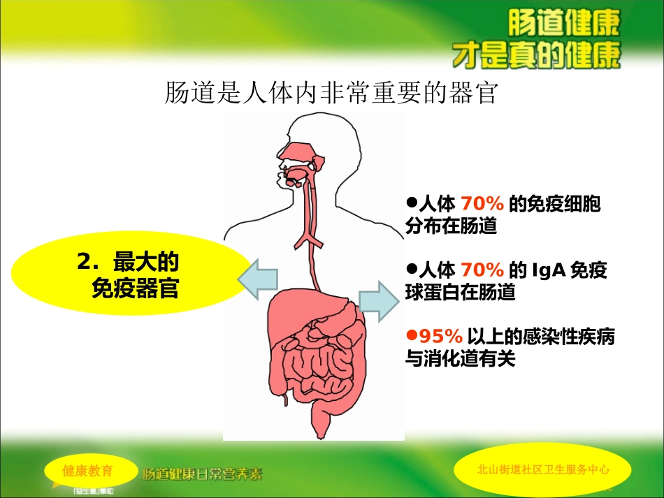 肠道健康科普讲稿_第3页
