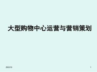 大型购物中心运营与营销策划PPT