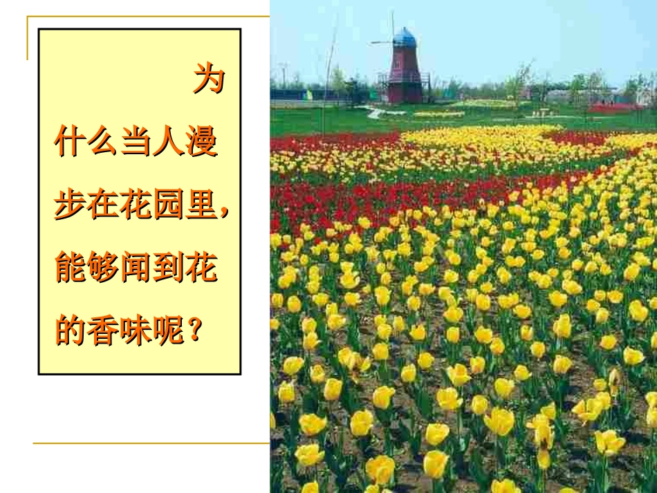 初中化学《分子和原子》PPT课件_第2页