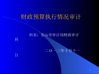 财政预算执行情况审计