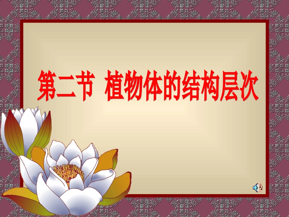 第二节+植物体的结构层次PPT_第1页