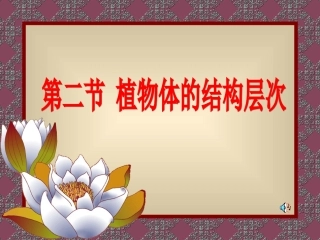 第二节+植物体的结构层次PPT
