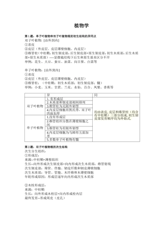 单双子叶根初生结构