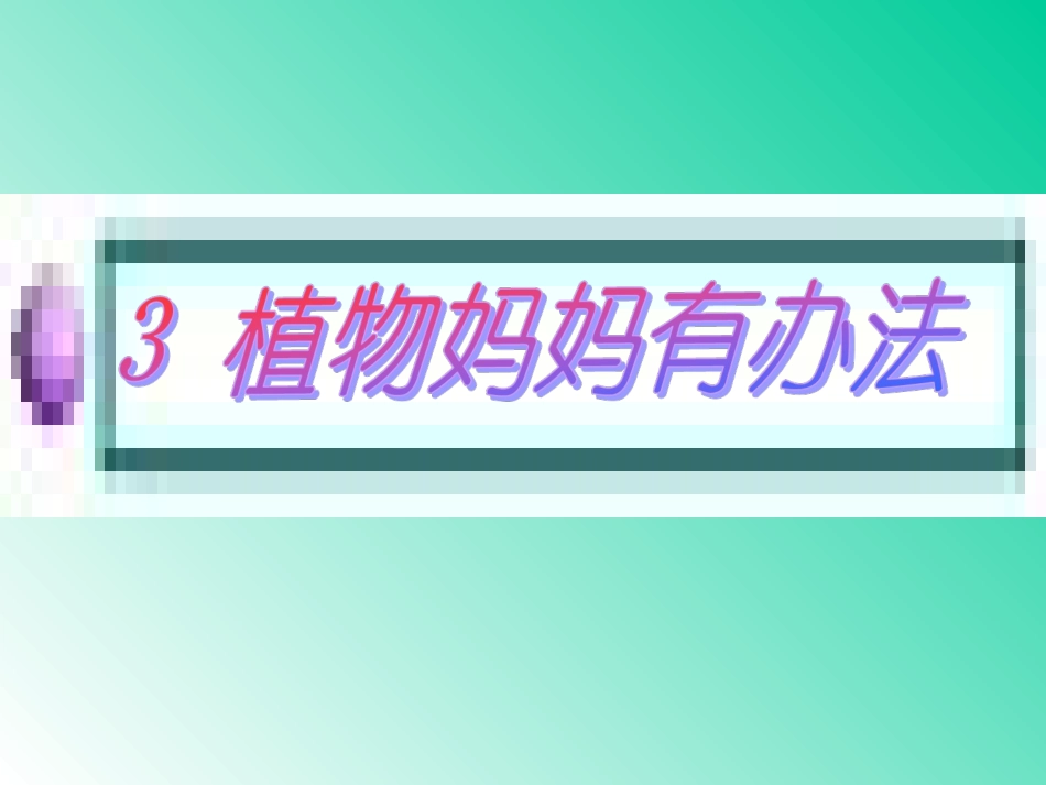 部编版二年级上册语文植物妈妈有办法完整版.ppt_第2页