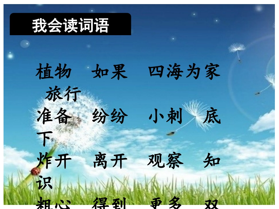 部编版二年级上册语文植物妈妈有办法完整版.ppt_第3页