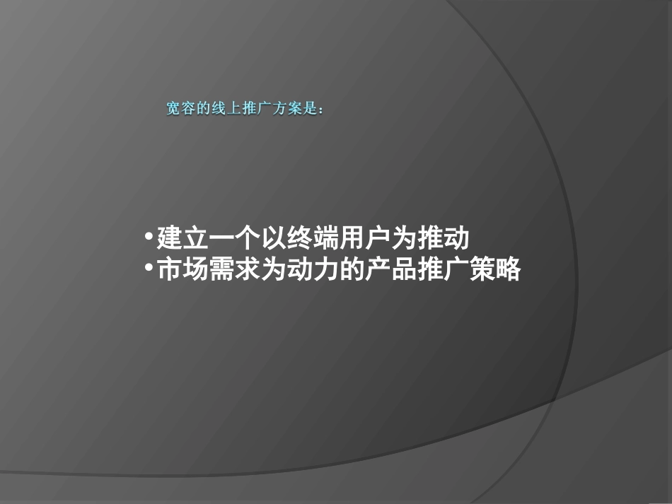 产品线上推广方案(精)_第2页