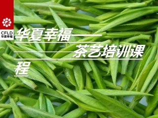 茶艺培训课件