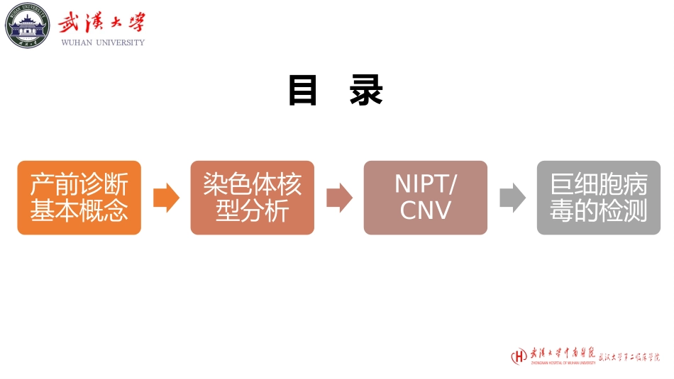 产前分子诊断中需要注意的若干问题(郑主任)修改(1)_第2页
