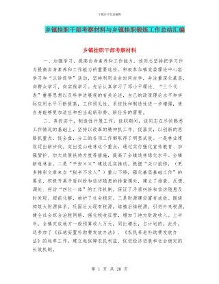 乡镇挂职干部考察材料与乡镇挂职锻炼工作总结汇编