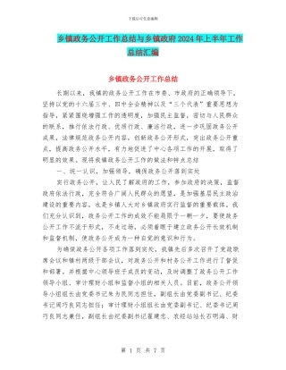 乡镇政务公开工作总结与乡镇政府2024年上半年工作总结汇编