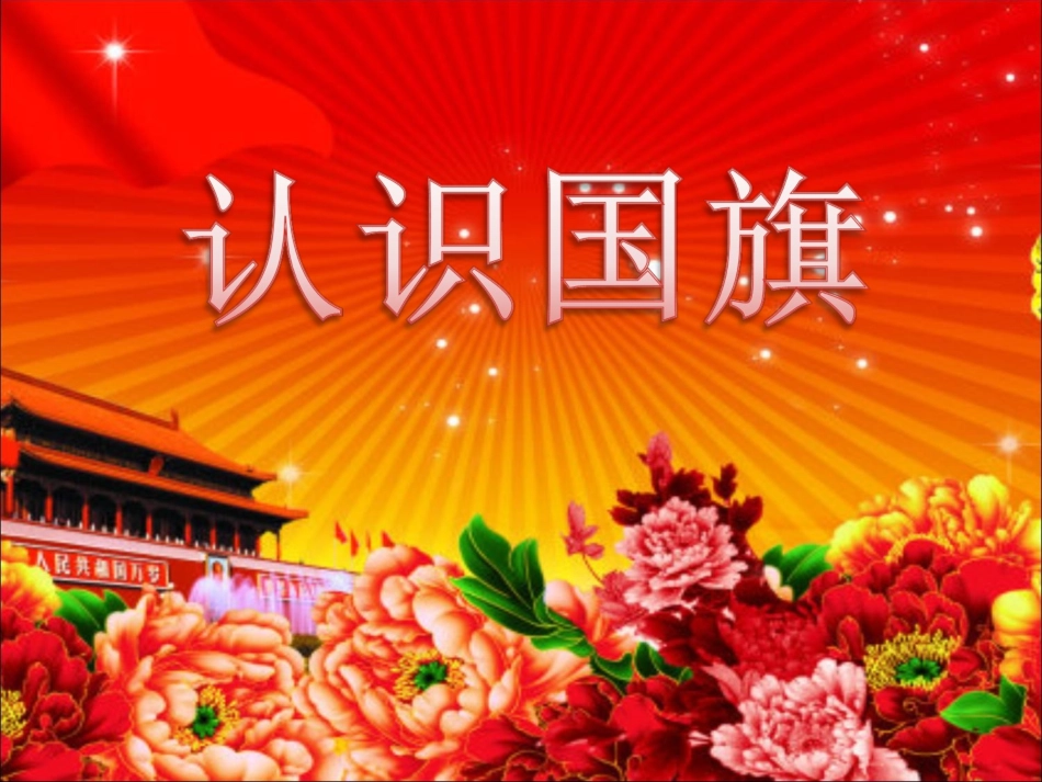 大班社会 认识国旗_第1页