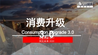 戴德梁行 新零售 20180 18页