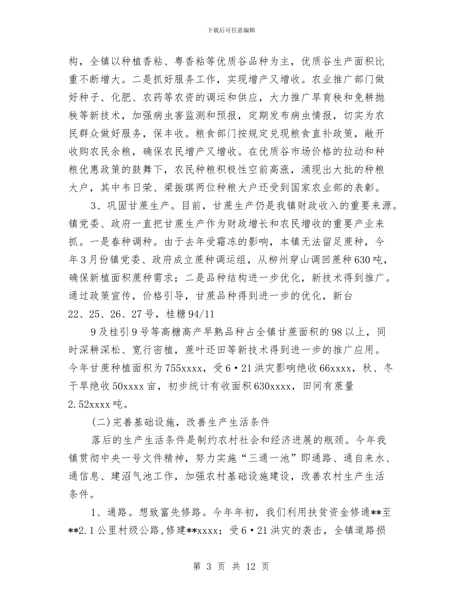 乡镇政府2024年度工作总结与乡镇政府上半年特色改革工作总结汇编_第3页