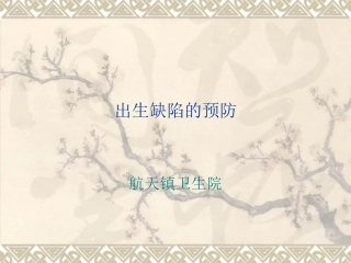 出生缺陷的预防.ppt
