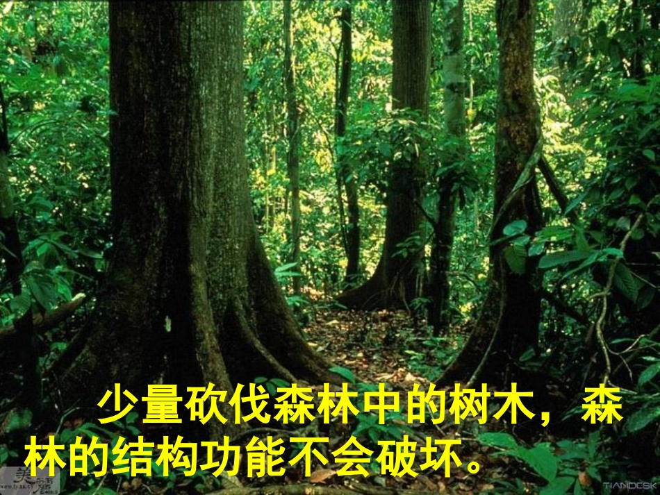 第五节生态系统的稳定性(市级公开课好)_第1页