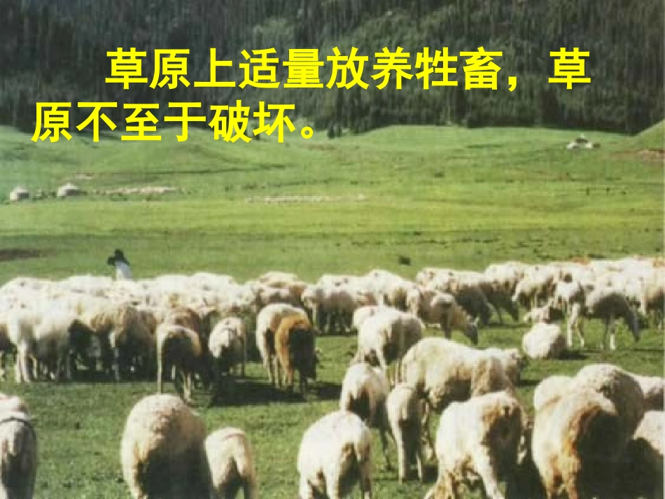 第五节生态系统的稳定性(市级公开课好)_第2页