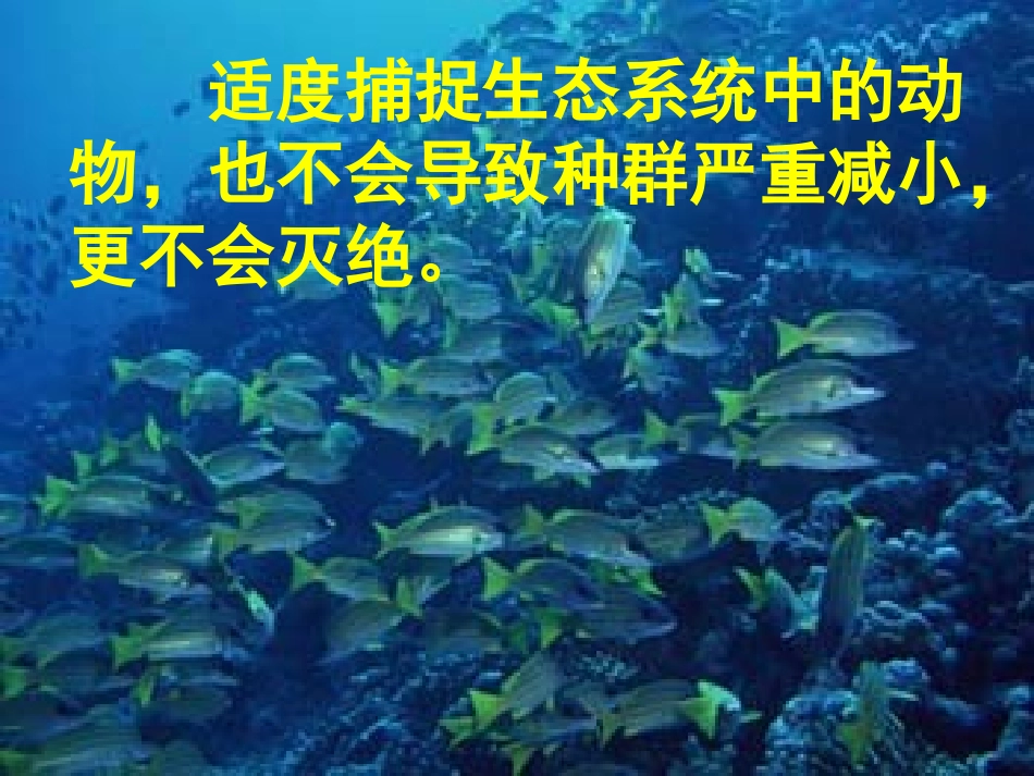第五节生态系统的稳定性(市级公开课好)_第3页