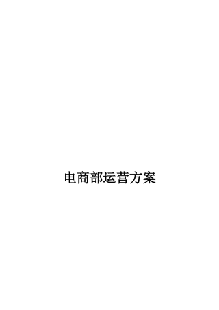 电商部运营方案