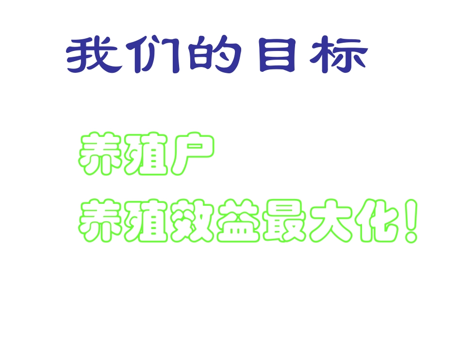 蛋鸡饲料的数字营销_第2页
