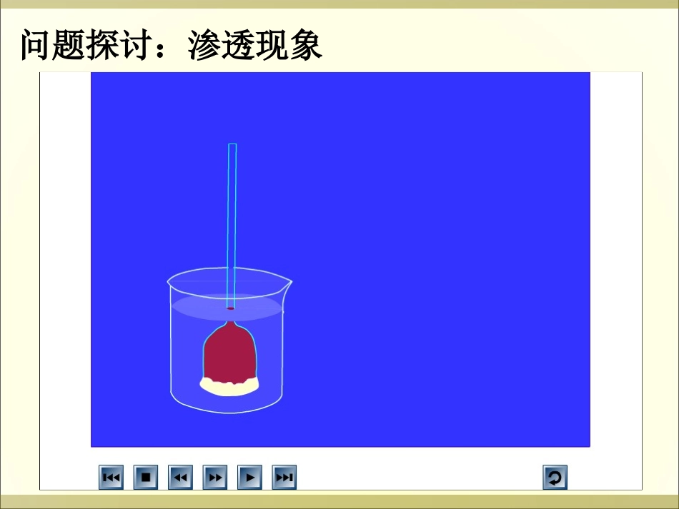第四章第一节物质跨膜运输的实例_第2页