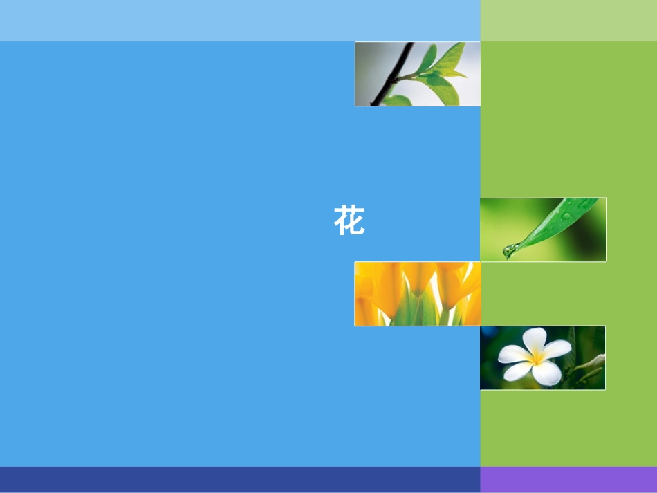 第二章药用植物学-器官-花_第1页
