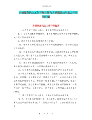 乡镇服务民生工作详细打算与乡镇服务站年度工作计划汇编