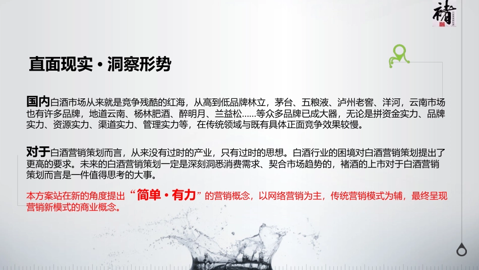 褚酒营销方案_第2页