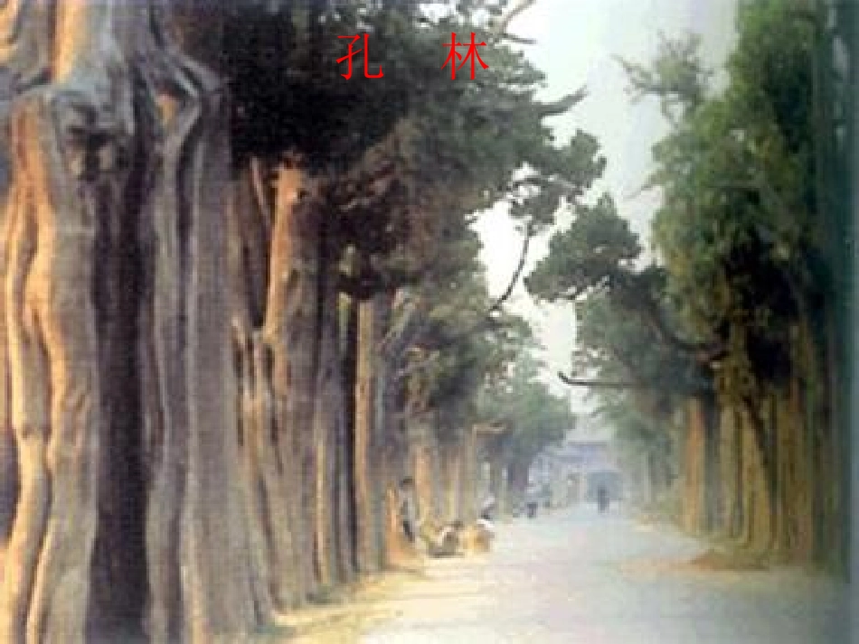 传统文化四年级孔府_第3页