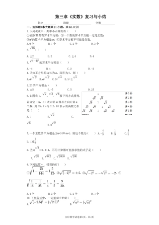 第三章《实数》复习与小结(湘教版)